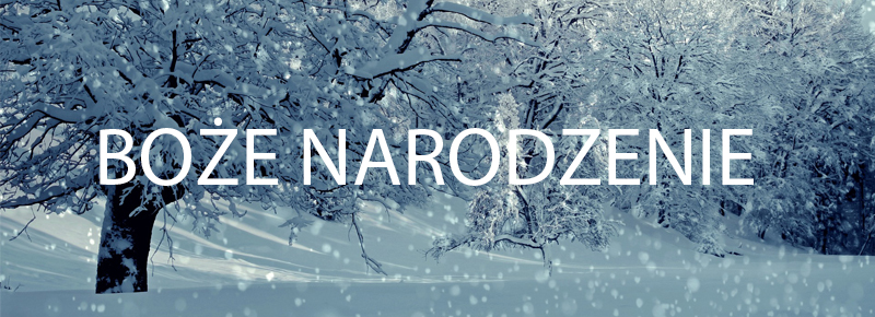 Las w śniegu na Boże Narodzenie